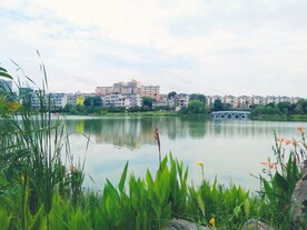 公园美景