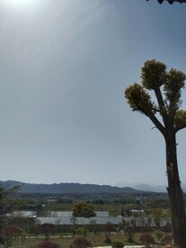 阳光下的田园