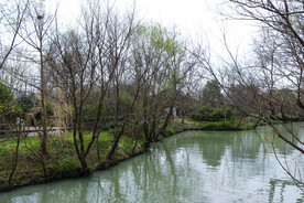 杭州湿地公园河道
