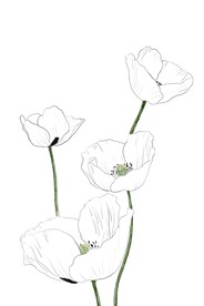 白色花线条-设计元素