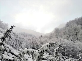 雪景
