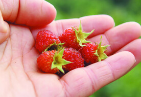 自摄相机高清图片