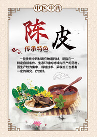 白色简约中式陈皮药材海报
