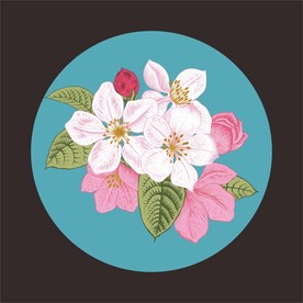 花朵插画