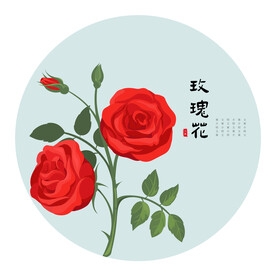 玫瑰花