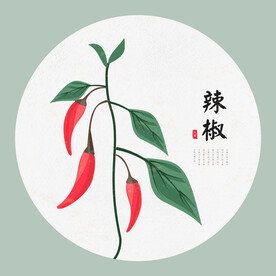 辣椒手绘