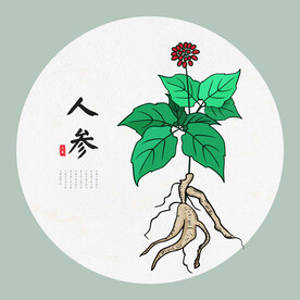 人参