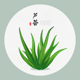 芦荟手绘