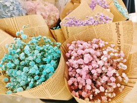 满天星 粉色 蓝色 花朵 花束