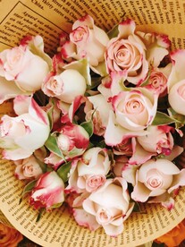 红白玫瑰 花朵 花束