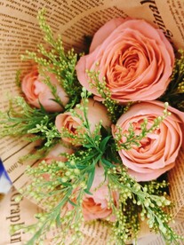 粉色玫瑰 花朵 绿叶 花束