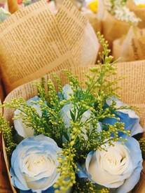 玫瑰花 蓝色 白色 花朵 花束