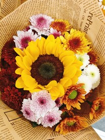 向日葵 菊花 花束 花朵