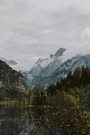 风景