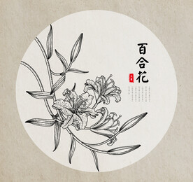 百合花手绘素描线稿