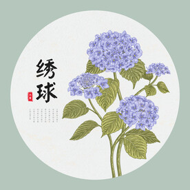 绣球花