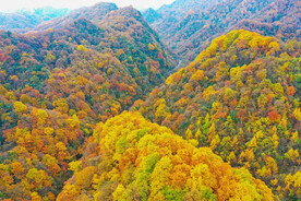 光雾山 秋色