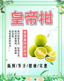 柑桔
