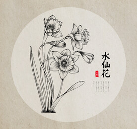 水仙花手绘素描