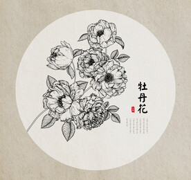 牡丹花手绘素描