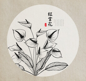 红掌花手绘素描