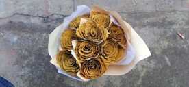 银杏 树叶
