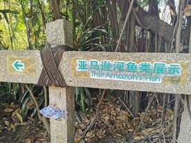 爬山
