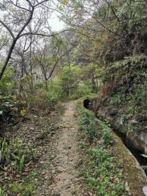 爬山 
