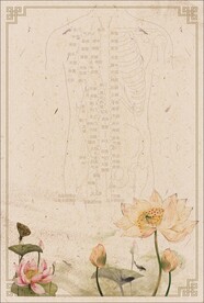 荷花古风海报