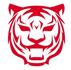 虎头