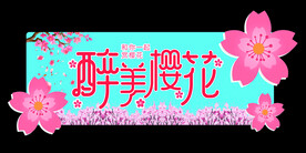 醉美樱花赏樱花