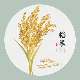稻米矢量