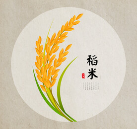 稻米手绘