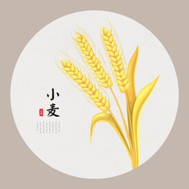 小麦