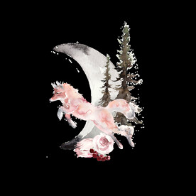 黑夜中的狐狸奔跑松树