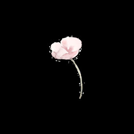 手绘花朵
