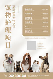 白色简约时尚宠物护理海报