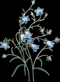 英式复古玫瑰花卉艺术装饰PNG