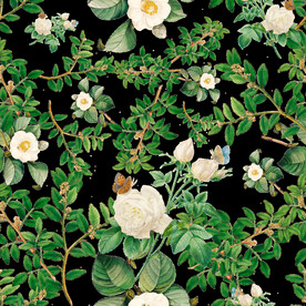 英式复古玫瑰花卉艺术装饰PNG