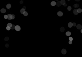 炫酷流光炫彩光效图片