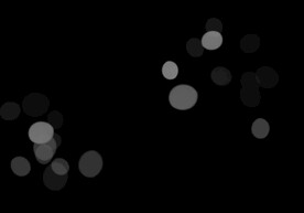 炫酷流光炫彩光效图片