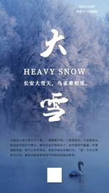 二十四节气大雪海报