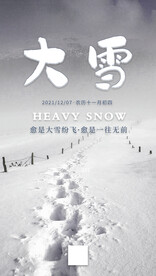二十四节气大雪海报