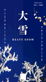 二十四节气大雪海报