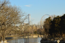 公园风景 