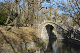 公园风景