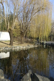 公园风景