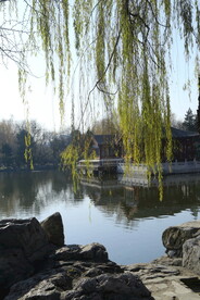 公园风景 