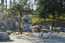 公园风景 