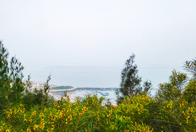 海边风景（早晨）